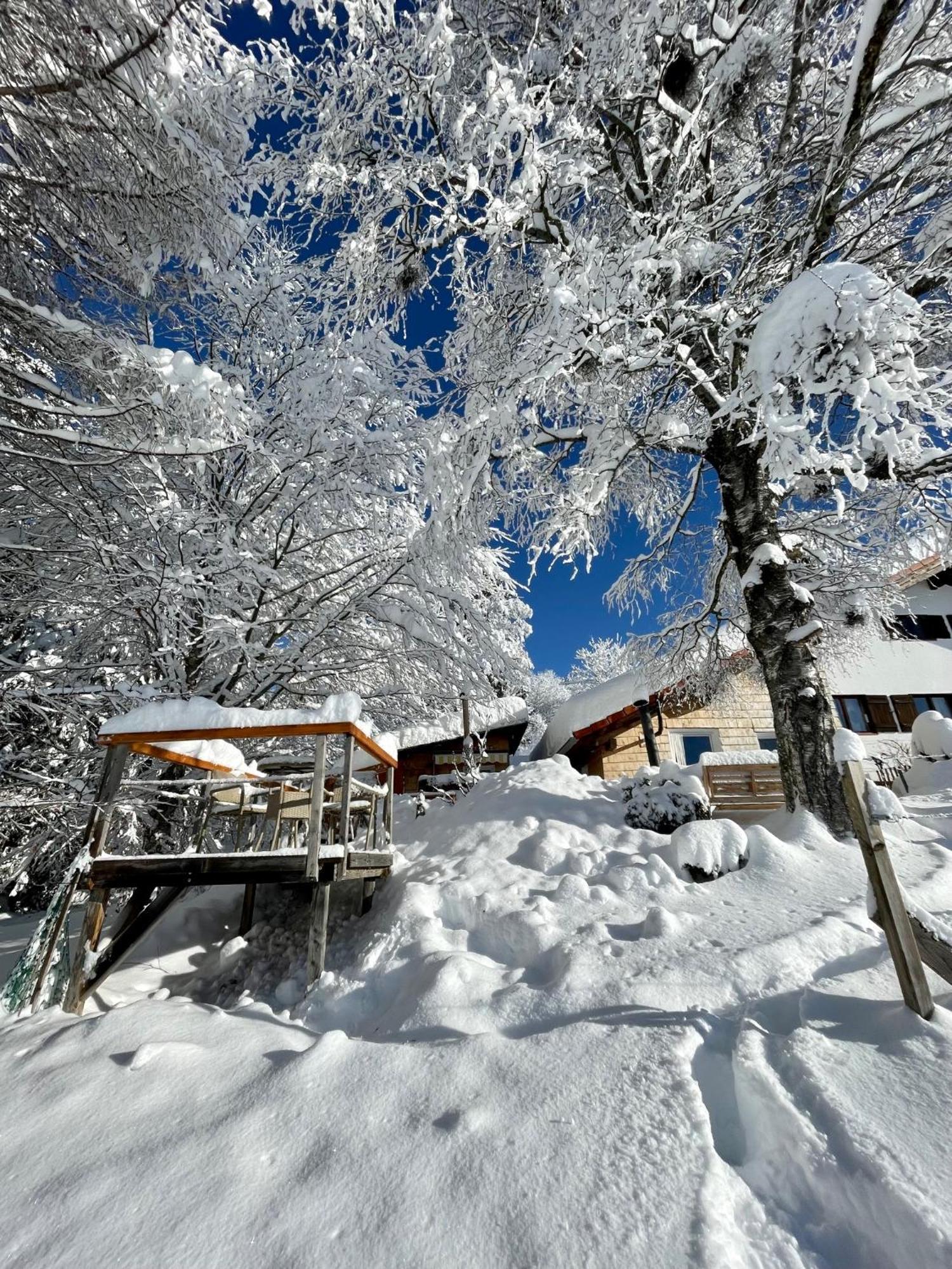 Jungholz Chalet 65 Exteriör bild
